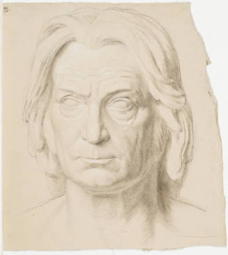 Male Portrait
