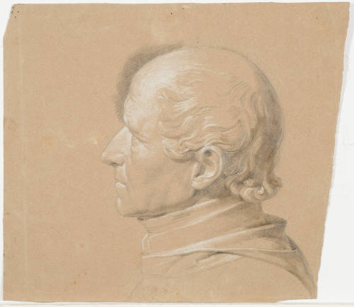 Male Portrait