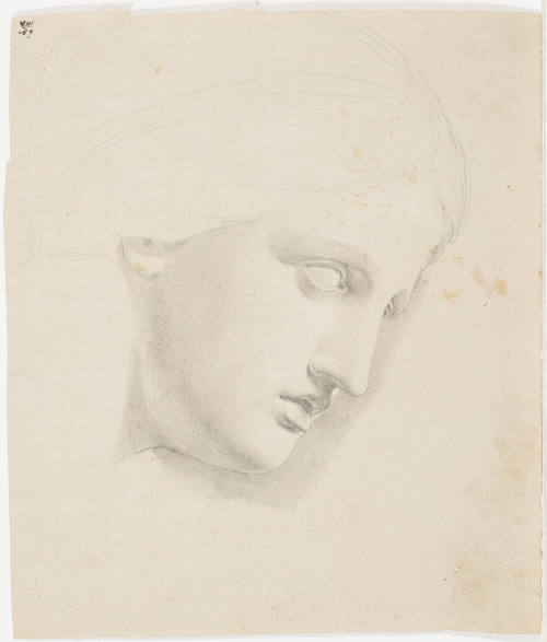 Female Portrait