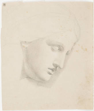 Female Portrait