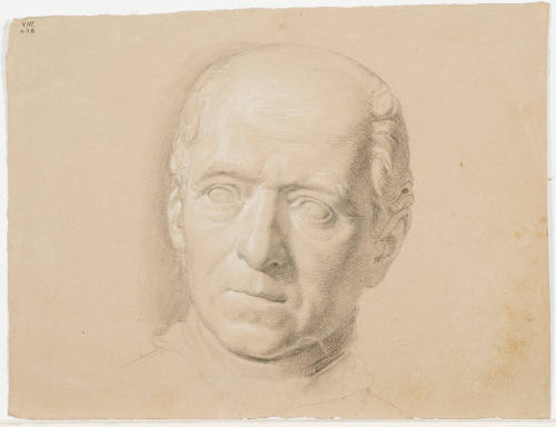 Portrait Study