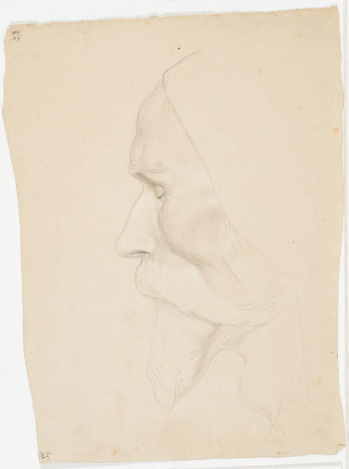 Portrait of an Old Man