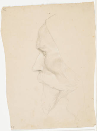 Portrait of an Old Man