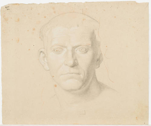 Portrait Study