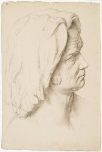 Male Portrait