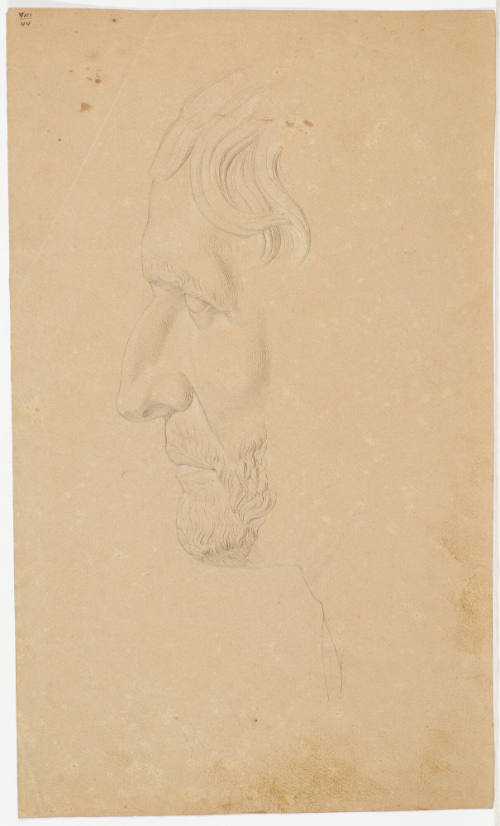 Male Portrait