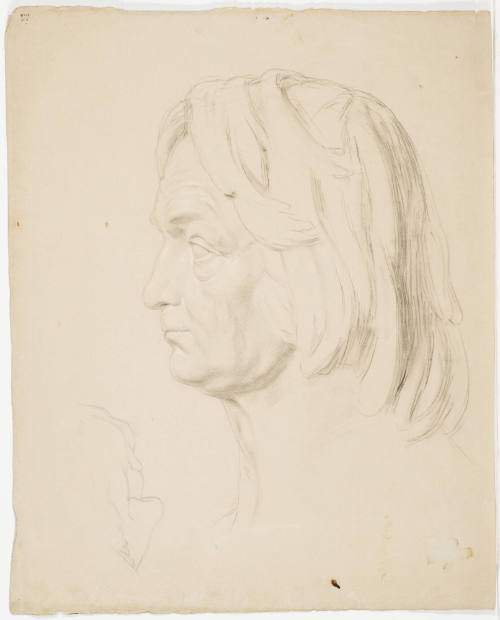 Male Portrait