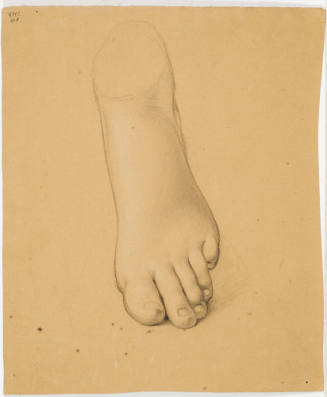 Female Foot
