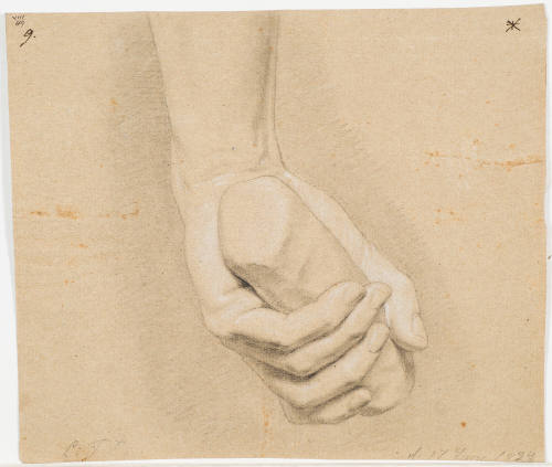 Study of a Hand