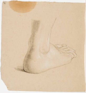 Study of a Foot