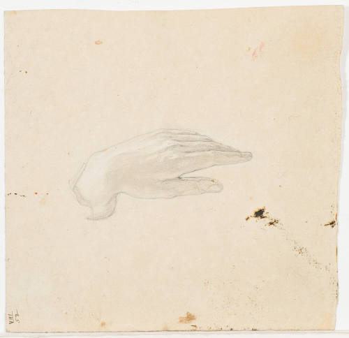 Study of a Hand