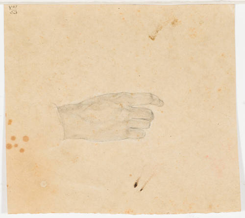 Study of a Hand