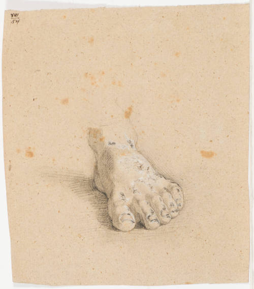 Study of a Foot
