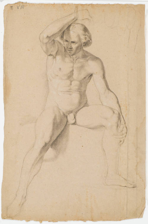 Young Male Nude