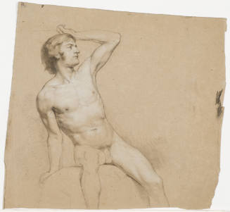 Young Male Nude