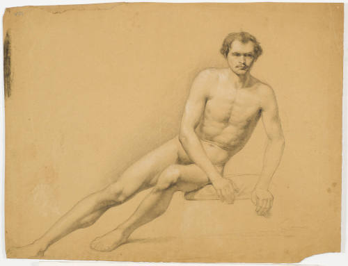Young Male Nude
