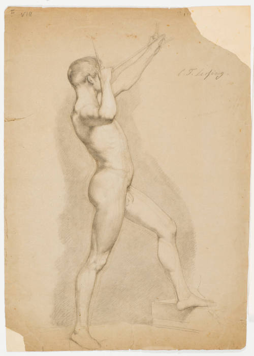 Young Male Nude