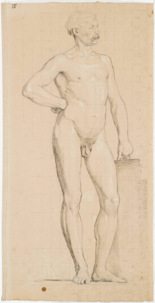 Standing Male Nude