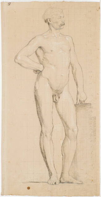 Standing Male Nude