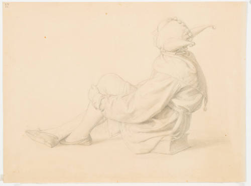 Young Man in Jester Costume