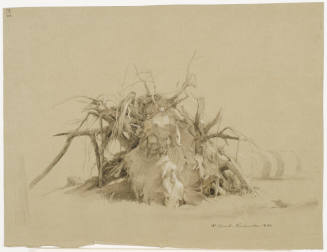 Tree Roots
