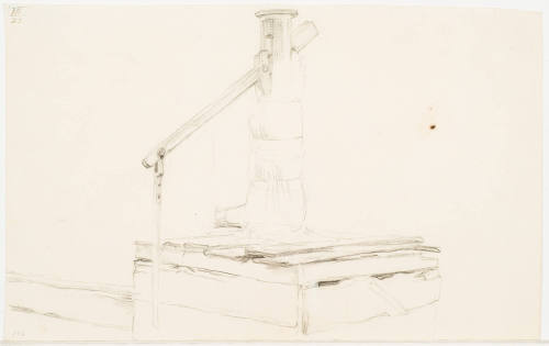 Study of a Tree