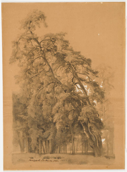 Group of Trees