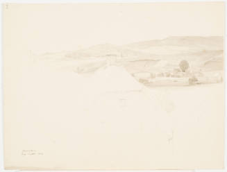 Spacious Landscape