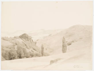 Hilly Landscape