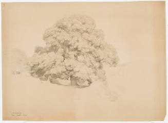 Study of  Tree