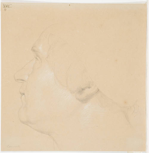 Male Portrait