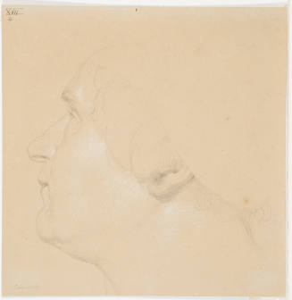 Male Portrait