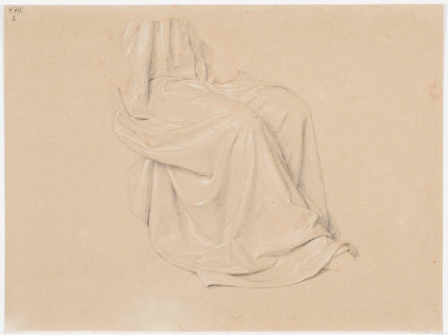 Study of Garment