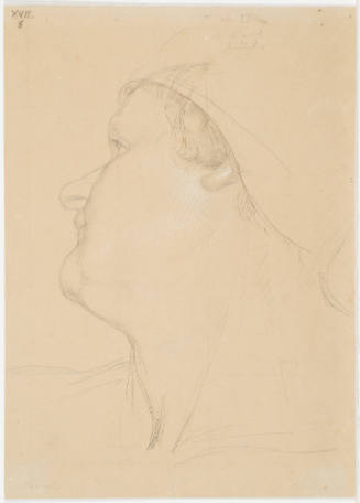 Male Portrait