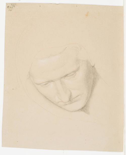 Head of a Monk