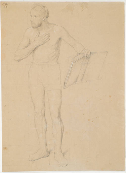 Male Figure