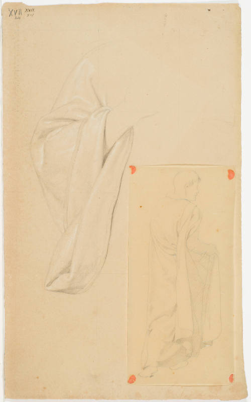 Study of Sleeve