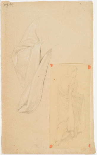 Study of Sleeve