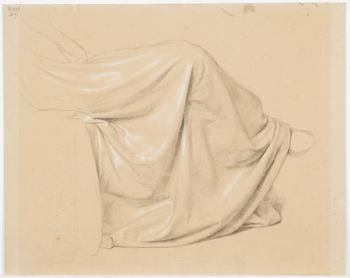 Garment Study