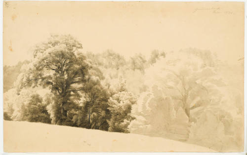 Woods Edge - Gummersbach