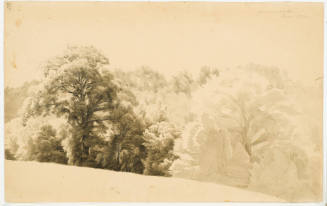 Woods Edge - Gummersbach