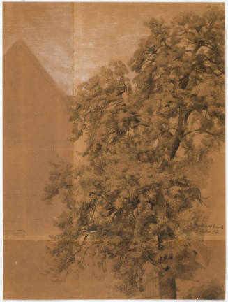 Tree Study - Gummersbach