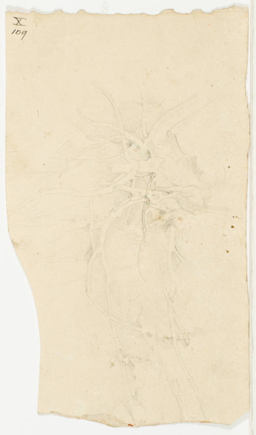 Study of Branches