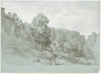 Mountain Slope with Rocks