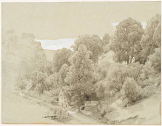 Wooded Valley