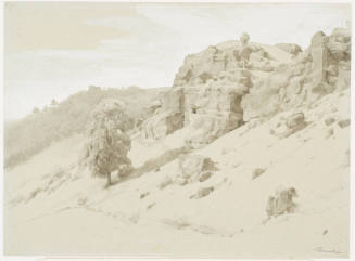 Landscape with Rocky Slope and Forest