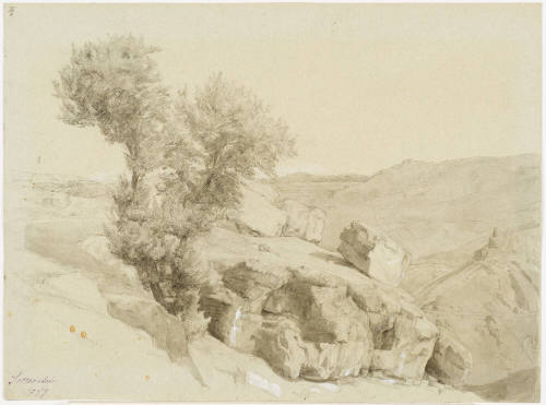 Hilly Landscape and Tree