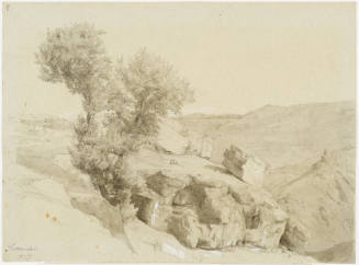 Hilly Landscape and Tree