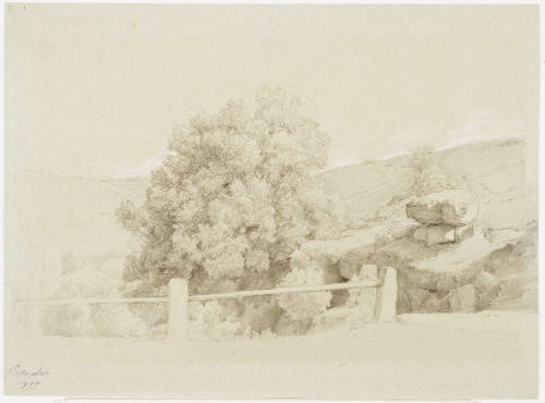 Rocky Landscape