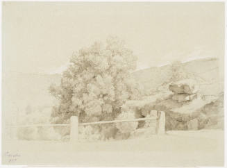 Rocky Landscape